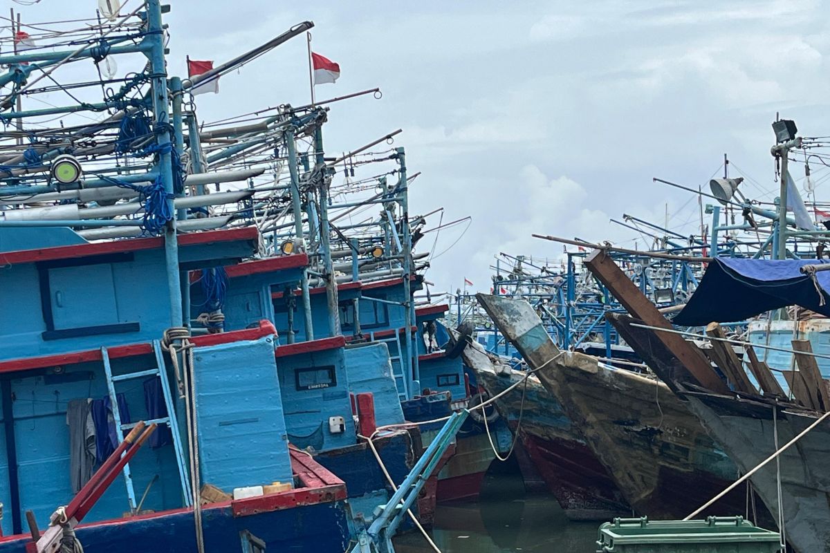 Ribuan kapal bersandar di Muara Angke, nelayan keluhkan akses berlayar