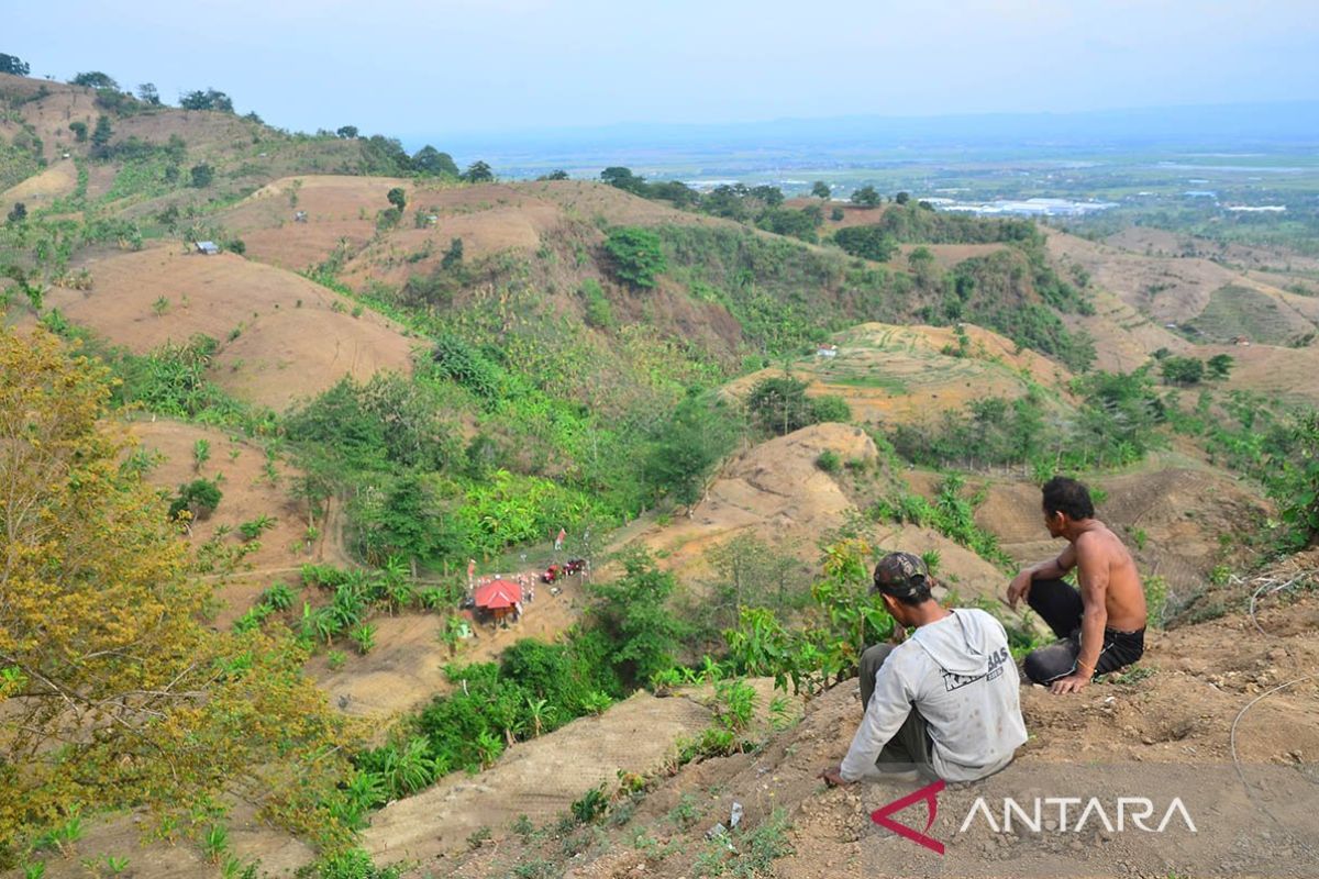 Deforestasi dan perubahan lahan intensifkan gelombang panas global