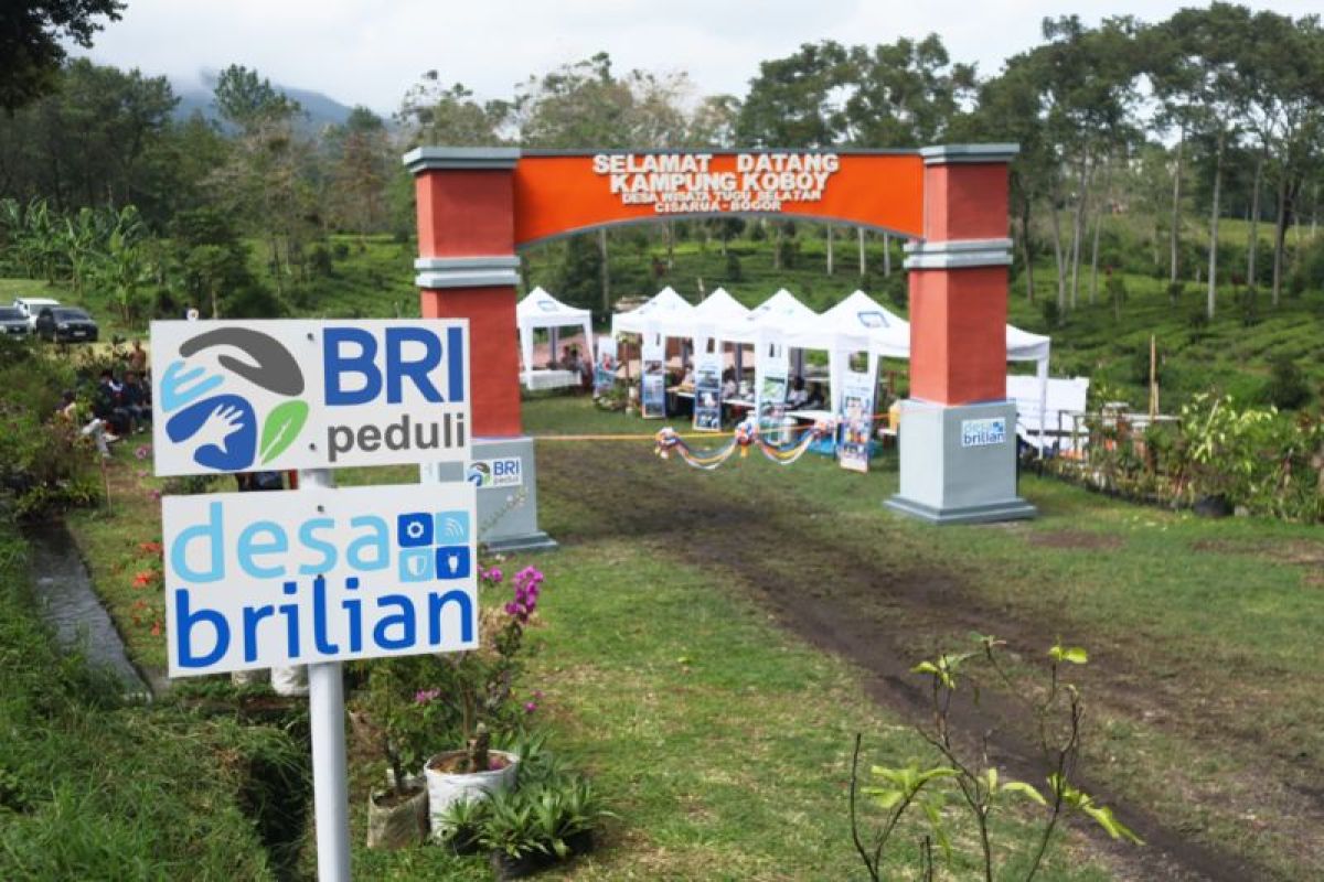 BRI perluas dukungan pengembangan ekonomi melalui 5.245 desa BRILiaN