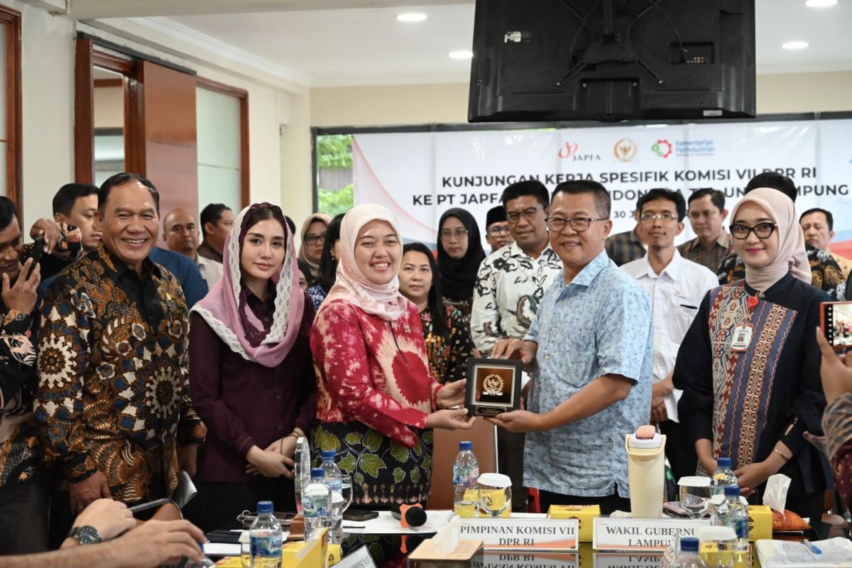 Indonesian lawmaker sees ‘dupe’ trend as boost for local brands