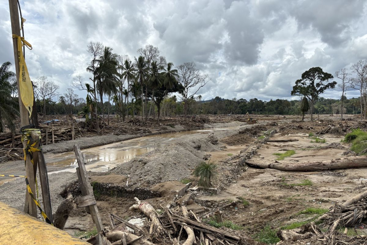 Bupati Tapsel: perlu alat berat amfibi untuk angkut tumpukan kayu