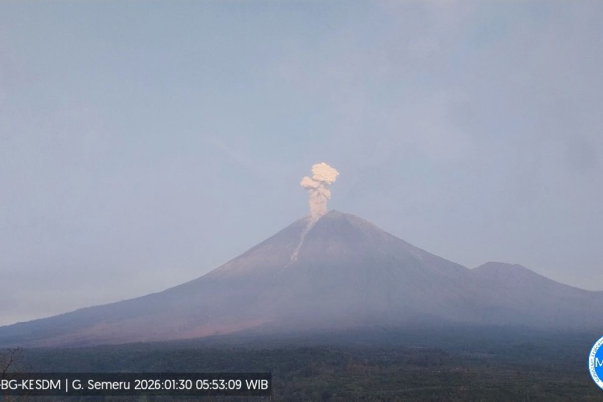 Gunung Semeru tiga kali erupsi dengan tinggi letusan capai 1.000 meter