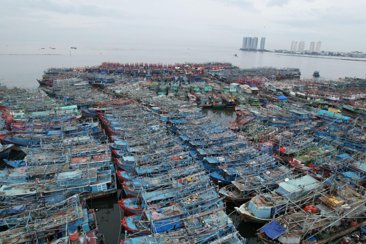 KKP lakukan penataan kapal di pelabuhan Muara Angke