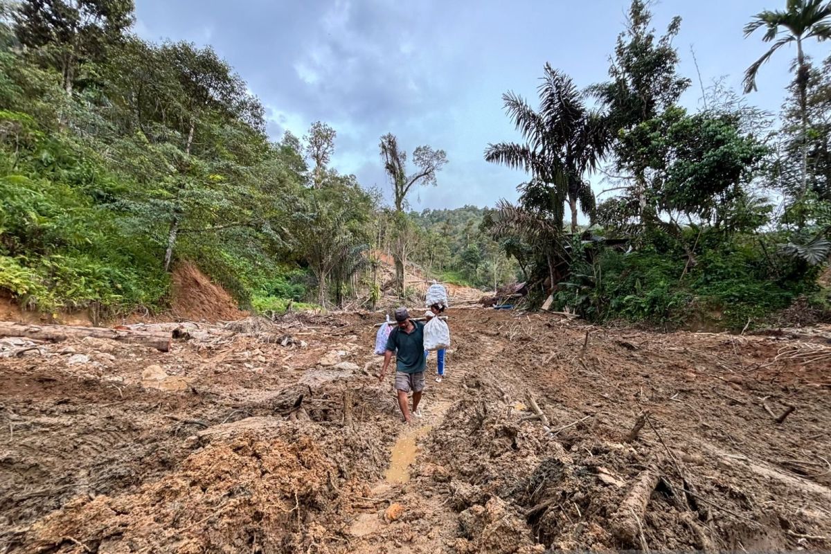Jalan terisolir, petani di Tukka panggul hasil kebun hingga 5 km