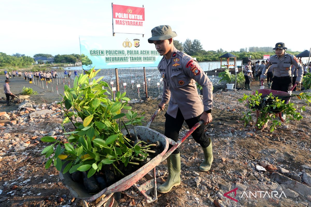 Pengamat nilai AUTP jadi opsi untuk lindungi risiko gagal panen petani