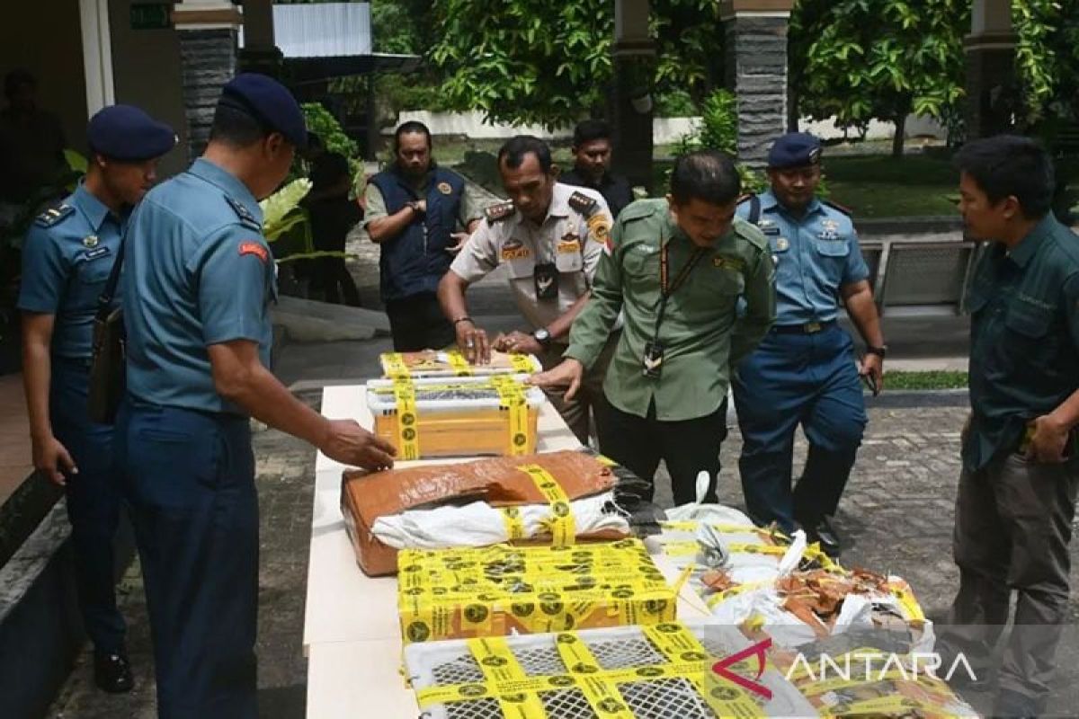 Petugas gagalkan penyelundupan 445 kulit ular piton di Bakauheni