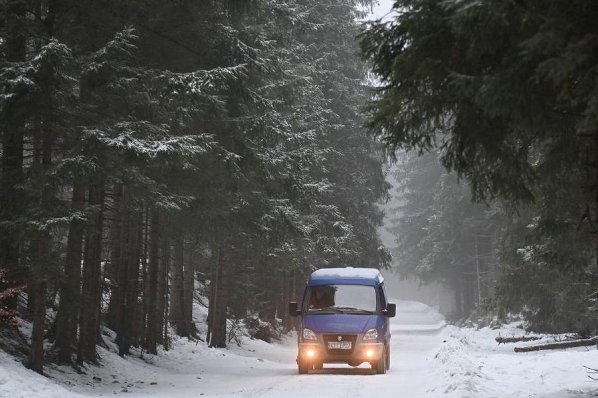 WMO desak penguatan sistem peringatan dini usai cuaca ekstrem Januari