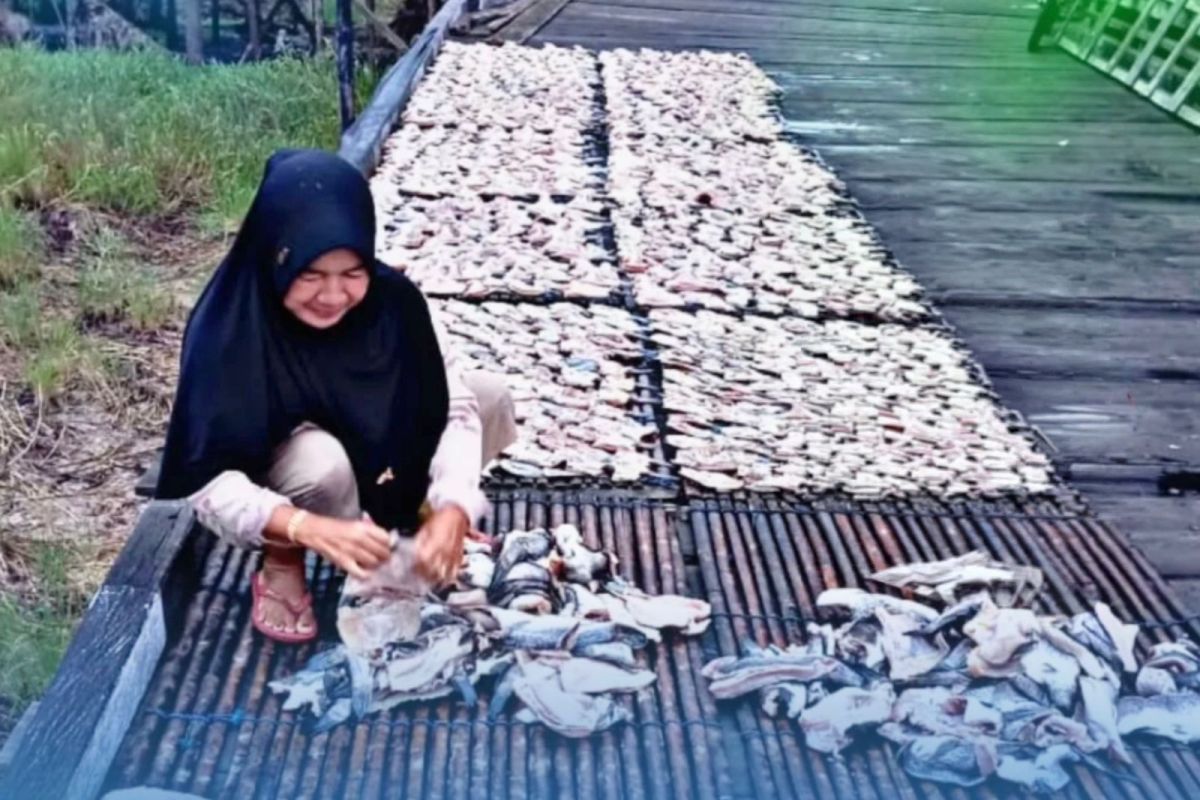 Dari pesisir Kaltim, PNM dampingi perempuan tumbuhkan ekonomi keluarga