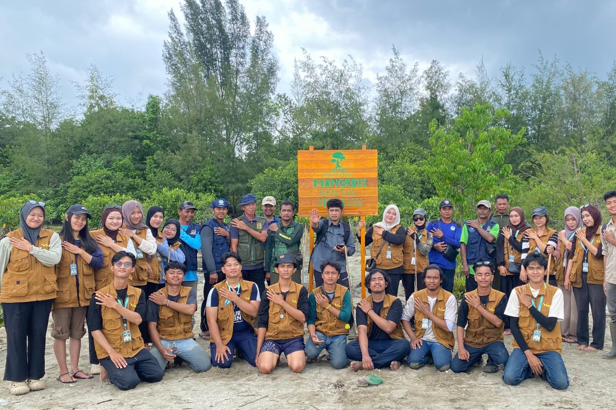 Mahasiswa KKN Itera tanam mangrove di Kawasan Konservasi Way Kambas