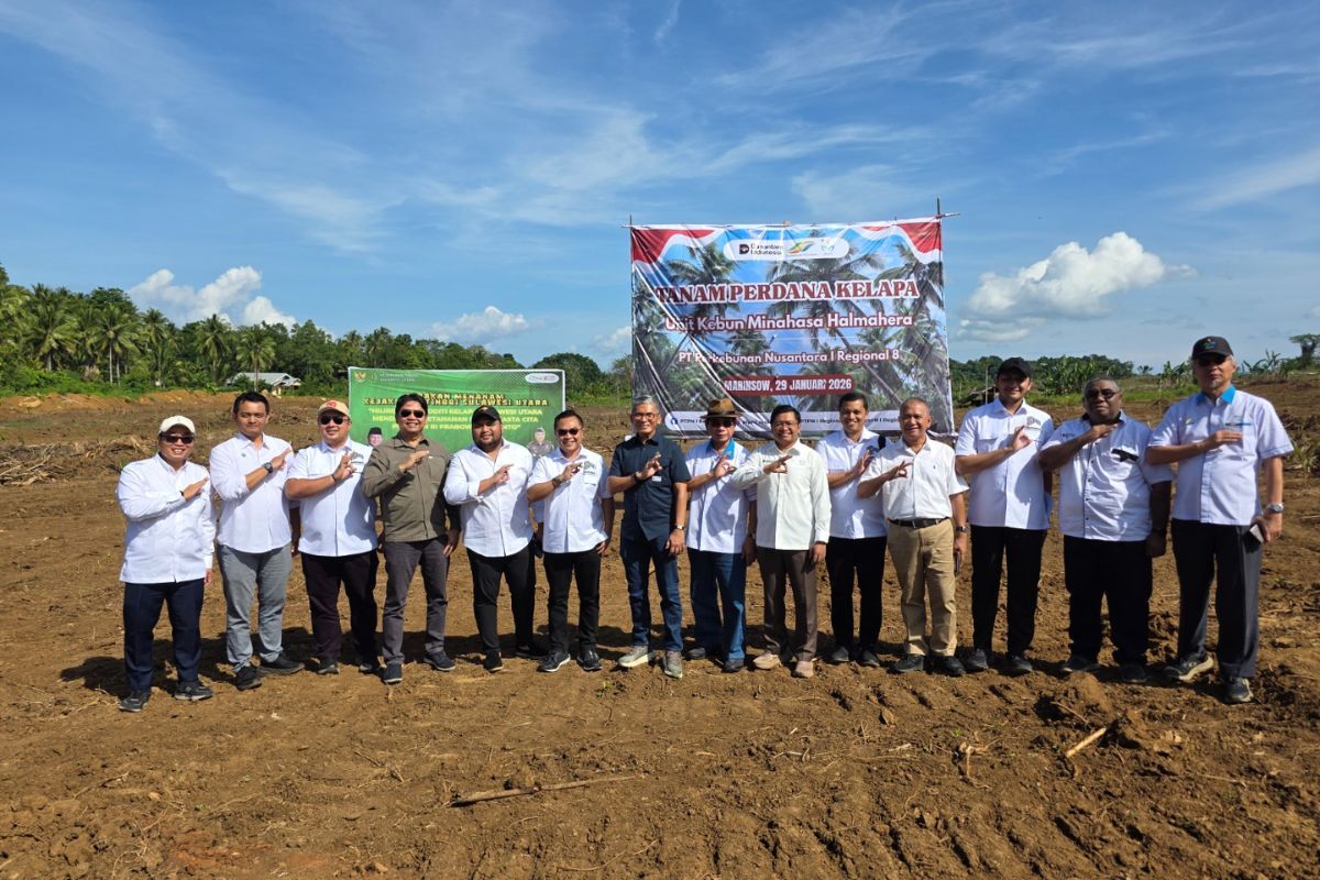 PTPN I Targetkan 50 Ribu Hektare Kelapa, Mulai Tanam Perdana di Minahasa Utara
