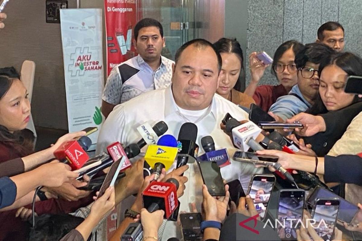 Pengamat: Kekhawatiran pengaruh Danantara di pasar modal terlalu dini