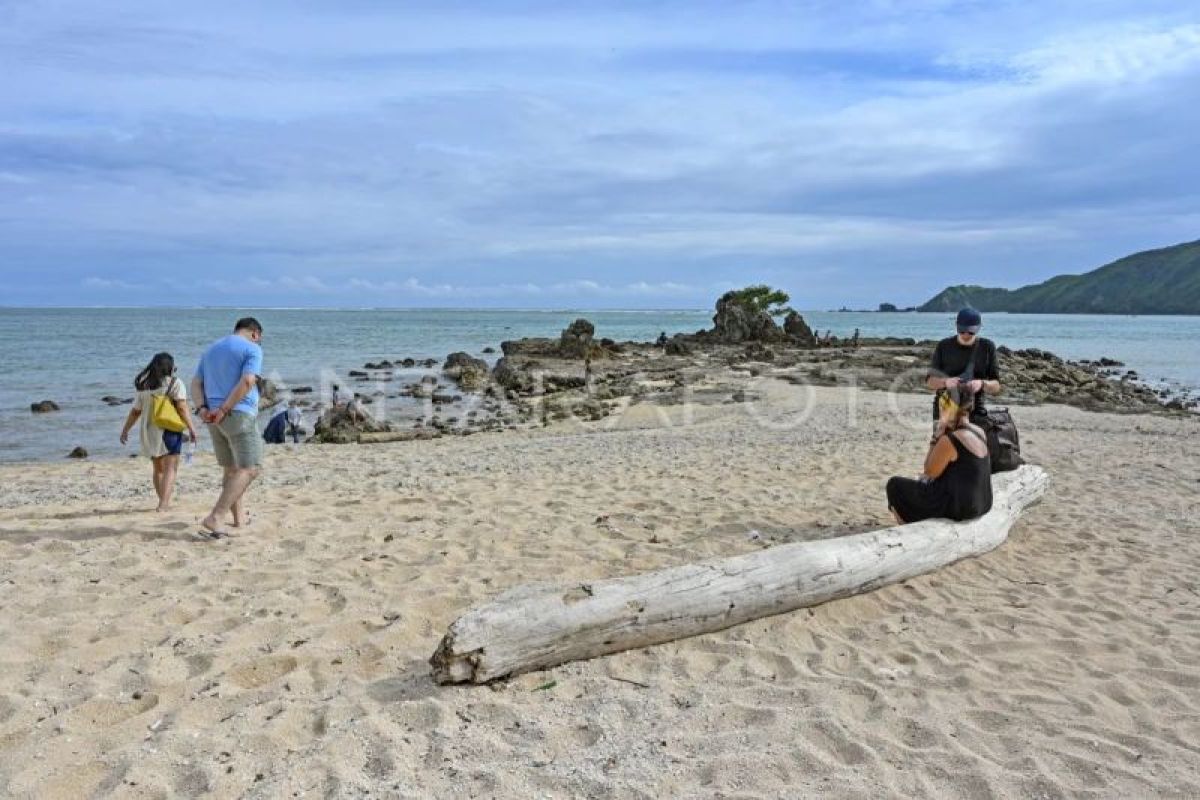 Realisasi penerimaan pajak di wilayah NTB 2025