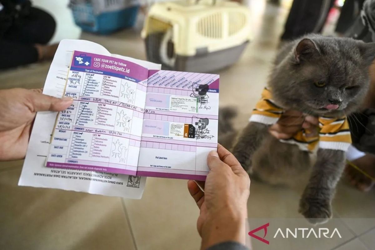 782 HPR di Jaksel sudah divaksin rabies pada Januari 2026