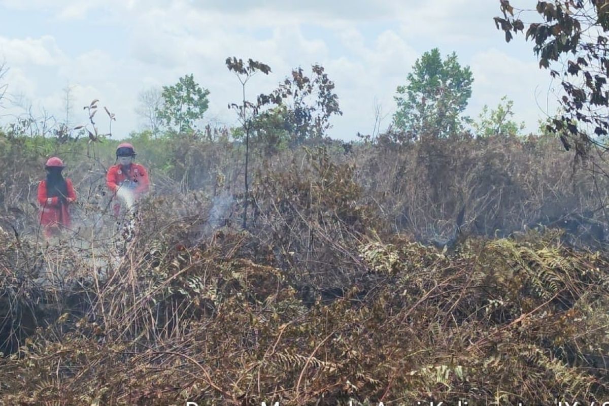 Tim gabungan berupaya padamkan karhutla di Singkawang Selatan