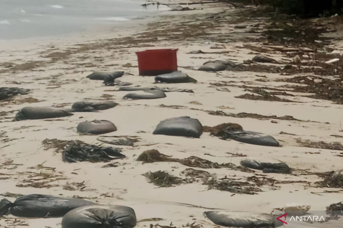 Limbah minyak hitam ganggu aktivitas nelayan & pariwisata di Bintan