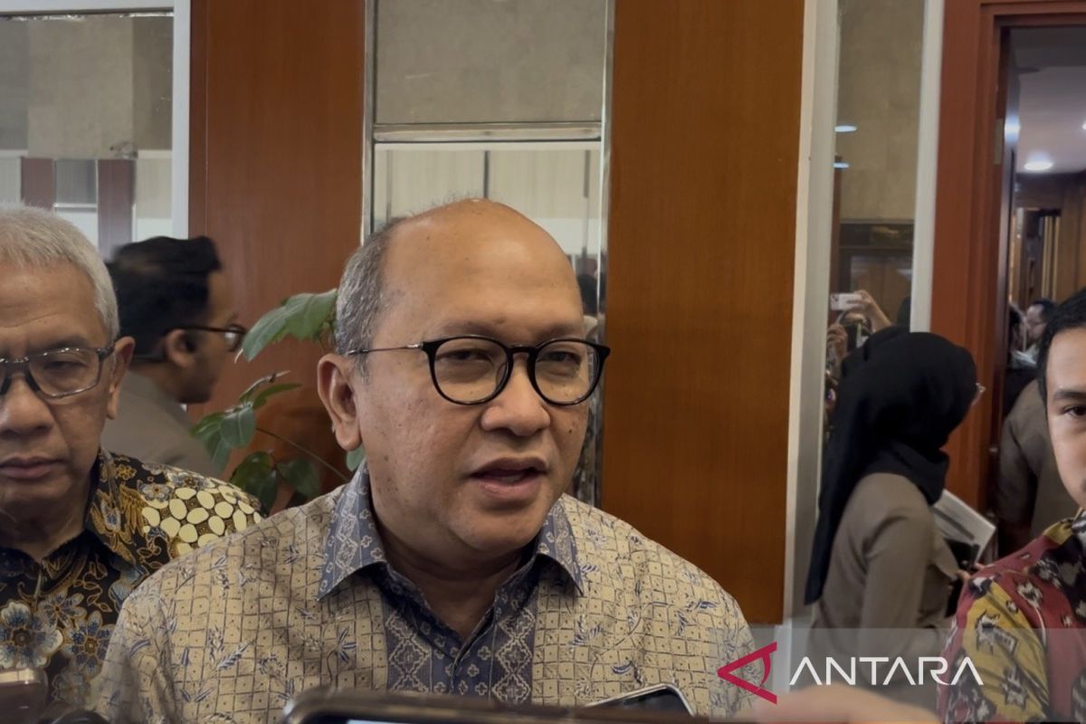 Rosan sebut Perminas upaya optimalkan potensi tanah jarang RI