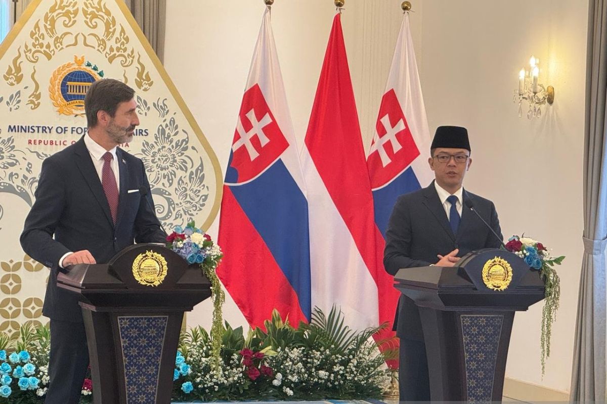 Indonesia, Slovakia tingkatkan hubungan jadi kemitraan strategis