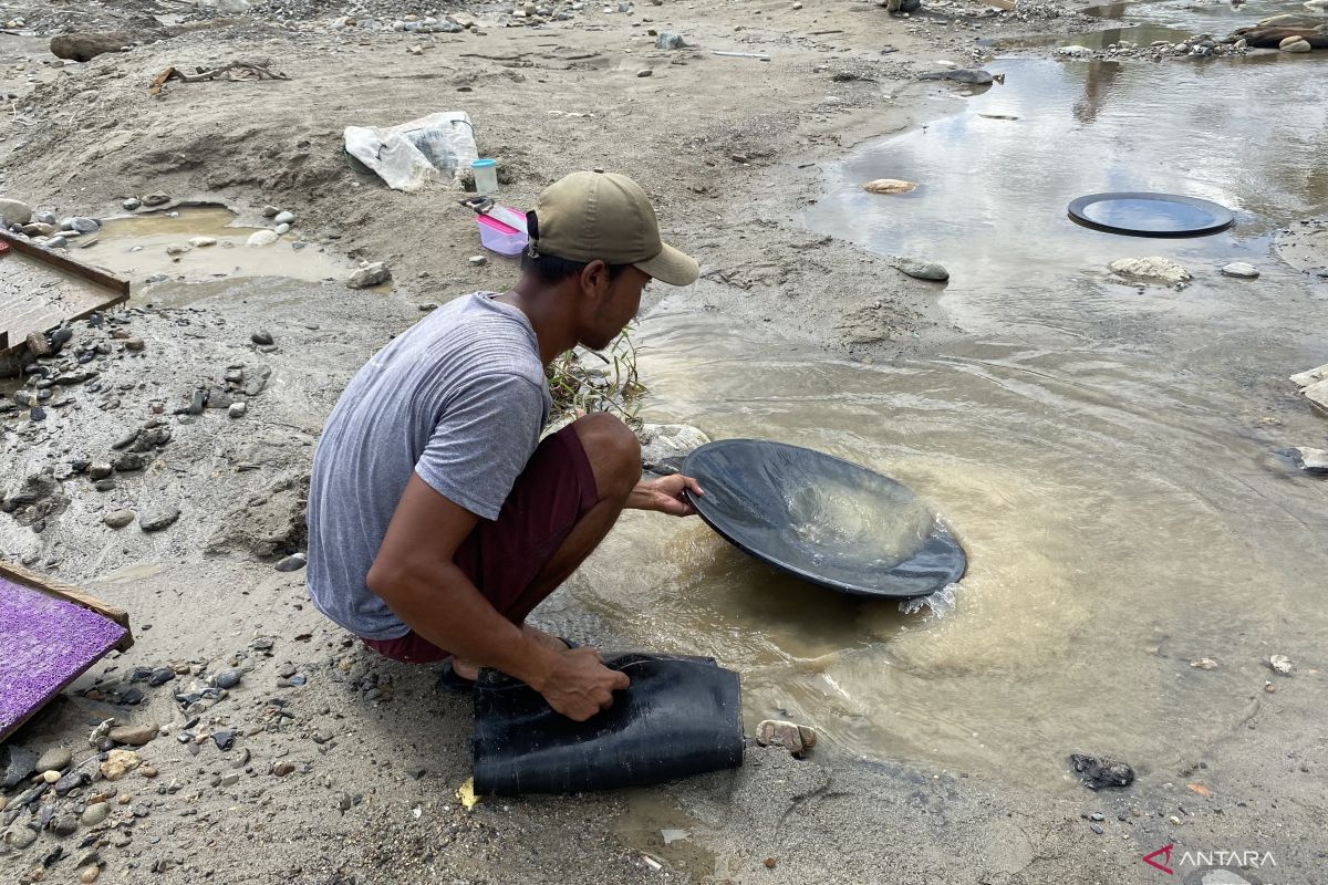 Kebun rusak, warga Aceh Tenggara mendulang emas di sungai pascabanjir
