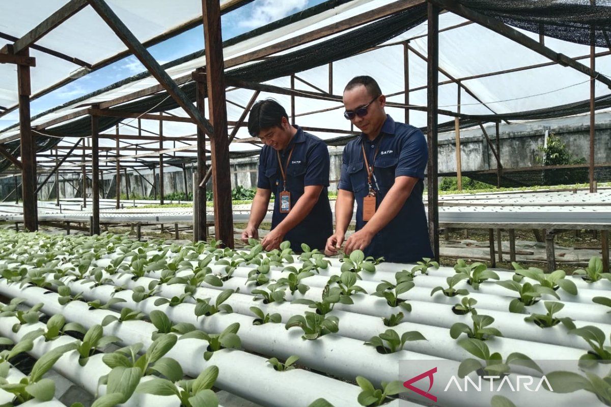 SATP terapkan pembelajaran sains berbasis edupreneur hidroponik