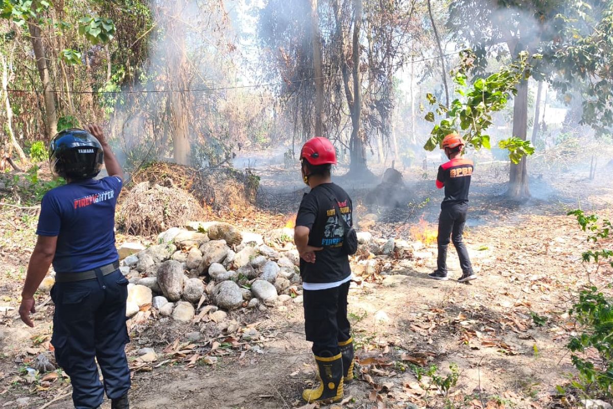 BPBD Sulteng tetapkan status siaga karhutla di Kabupaten Parigi Moutong