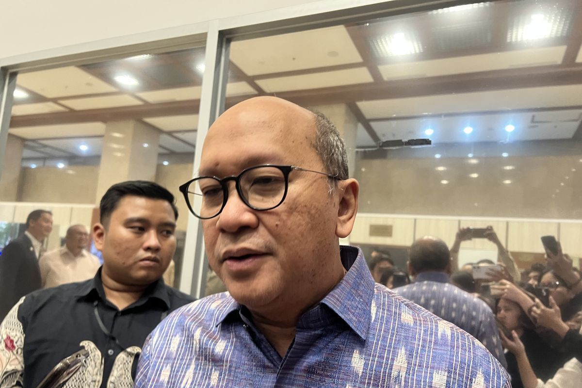 CEO Danantara: 6 proyek hilirisasi 'groundbreaking' pada 6 Februari