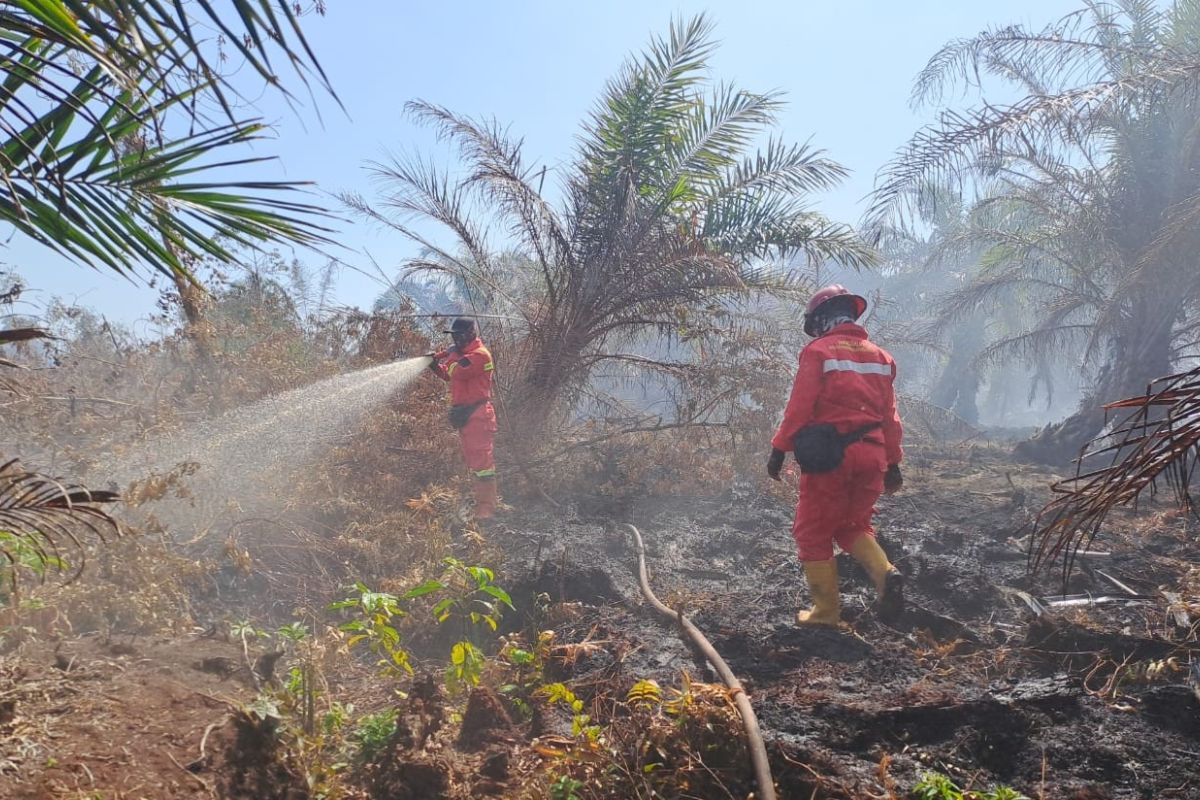 Manggala Agni Kemenhut berupaya padamkan karhutla di tiga wilayah di Riau