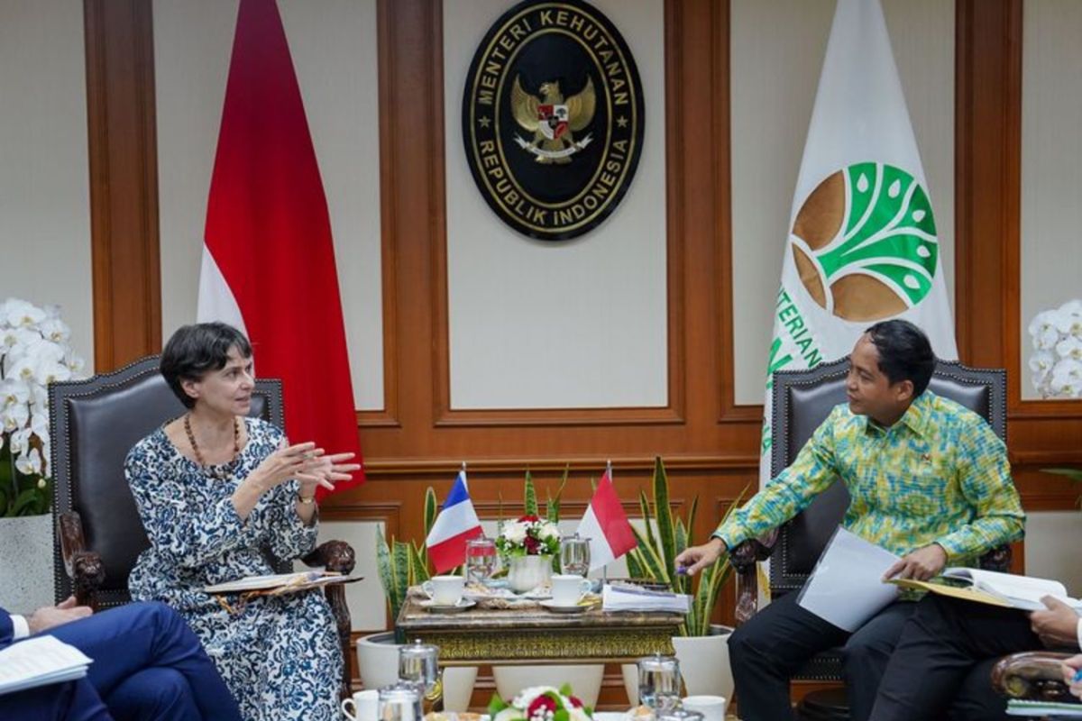 Menhut temui CIRAD perkuat kerja sama kehutanan berbasis sains