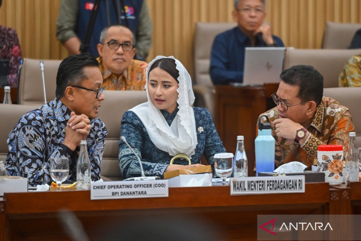 Danantara jelaskan strategi hilirisasi dan integrasi industri baja RI