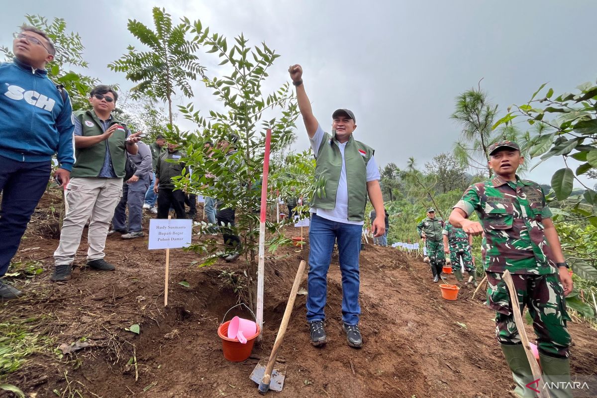 Bogor canangkan 220 hektare hutan kota, hulu Ciliwung prioritas