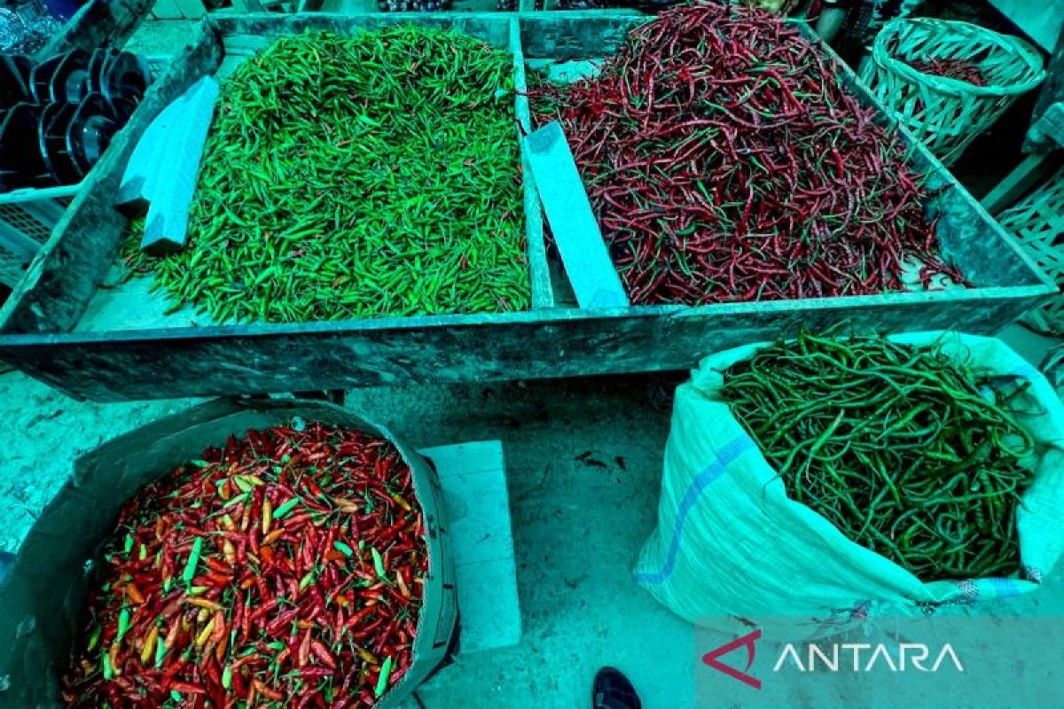 PIHPS: Harga cabai rawit merah Rp68.850/kg, telur ayam Rp31.350/kg