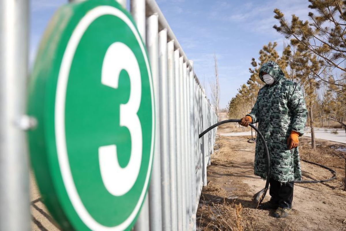 Berkat upaya tahunan, kuda Przewalski kembali ke alam liar di China