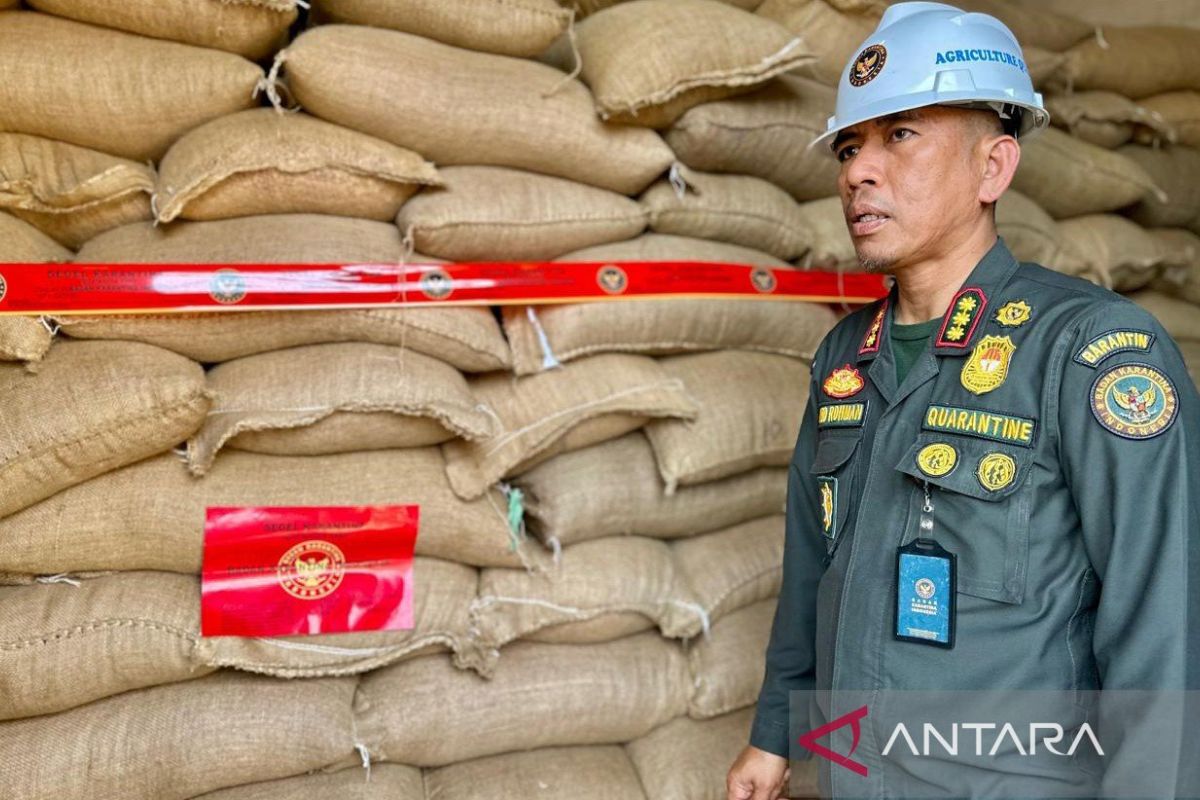 Barantin tolak 80 ton kacang tanah impor asal Malaysia karena aflatoksin tinggi