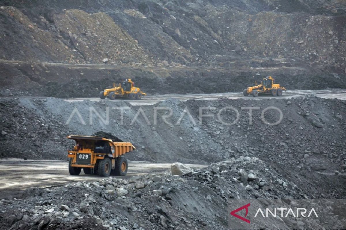 Bapenda Kaltim: Pendapatan pajak alat berat melonjak 3.000 persen 