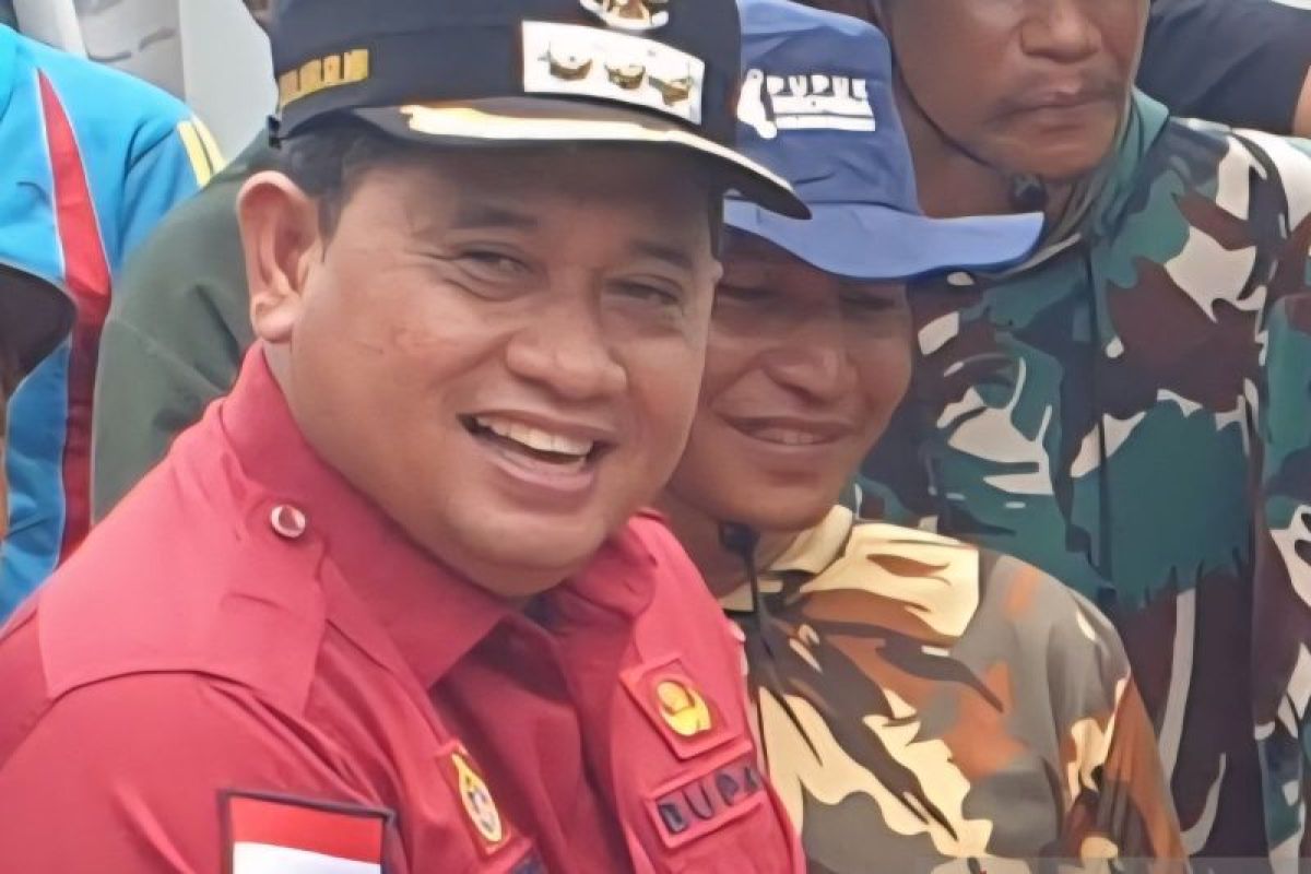 Banyuasin jadikan dua kawasan transmigrasi pusat pertumbuhan