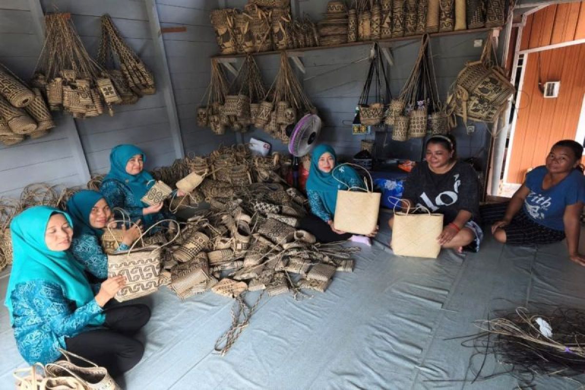 Ketua PKK Barut dukung pengembangan anyaman rotan di Teweh Timur