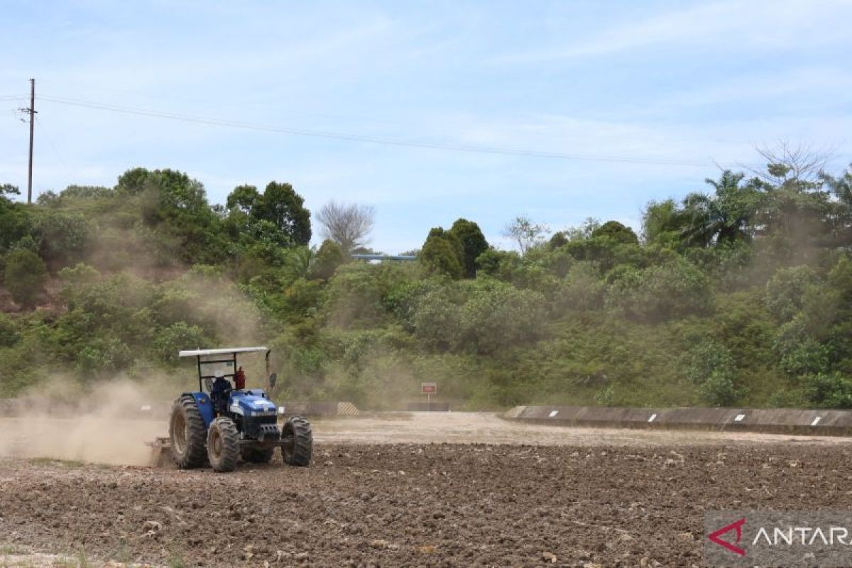 Energi yang Bertanggung Jawab: Komitmen PHR Pulihkan Tanah demi Masa Depan Berkelanjutan