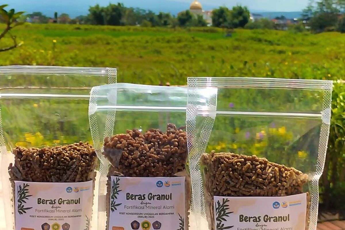 Undana ciptakan beras granul untuk cegah stunting di NTT
