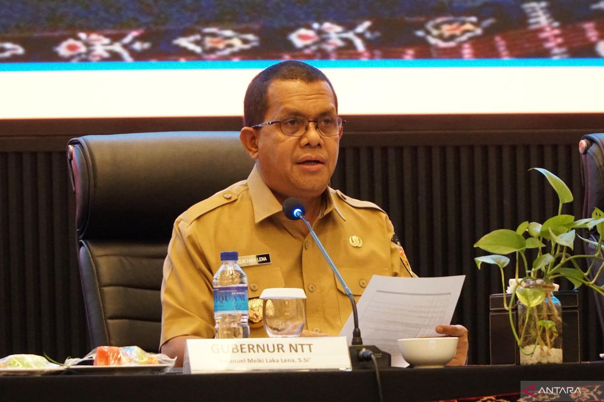Gubernur NTT meminta pers harus berani kritik kebijakan Pemda