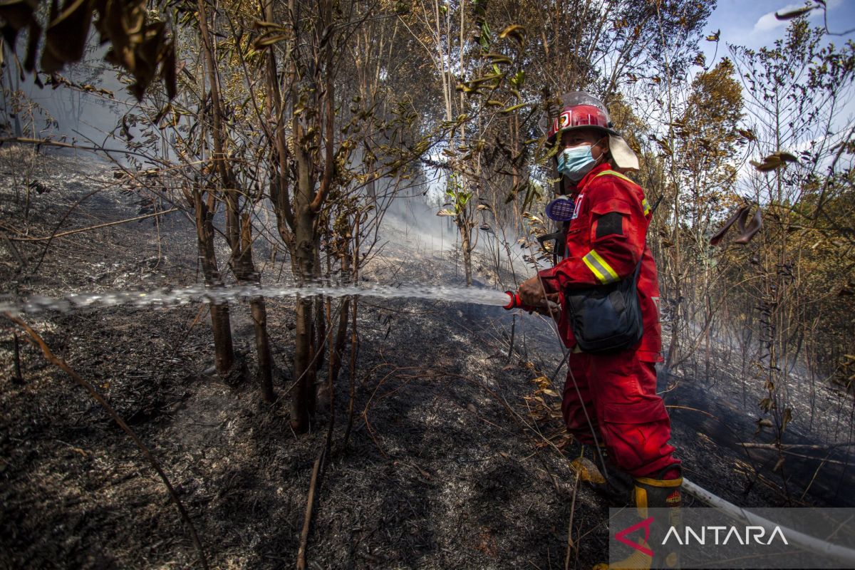 Indonesia maps fire-prone regions to curb forest and land fires