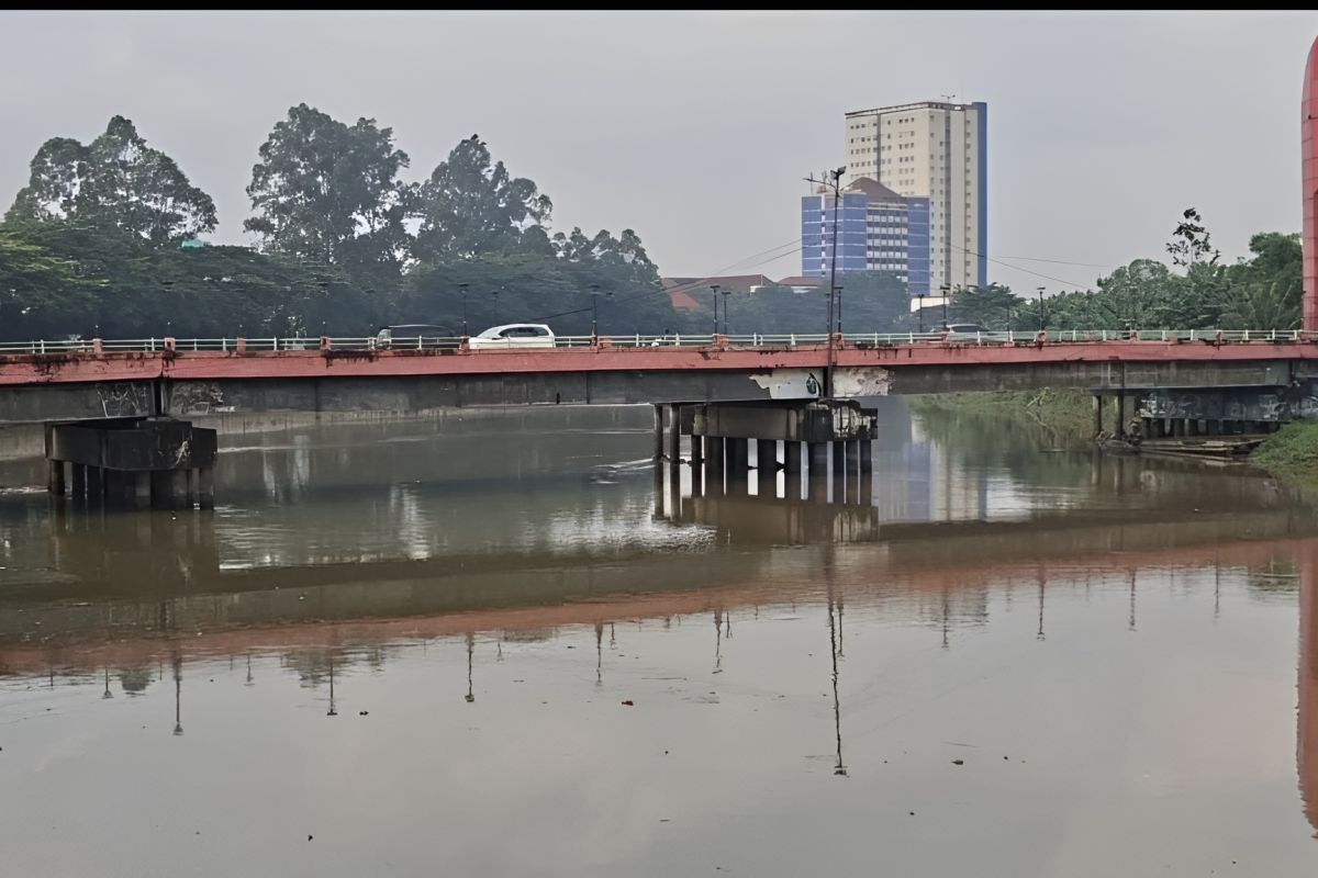 KLH kirim tim dalami dugaan cemaran pestisida di Sungai Cisadane