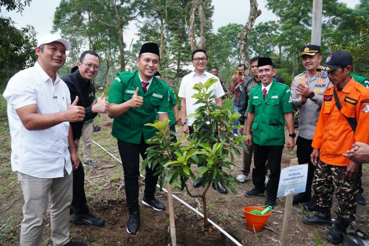 PLN, GP Ansor, dan Pemkab Boyolali kolaborasi hijaukan lereng Merapi