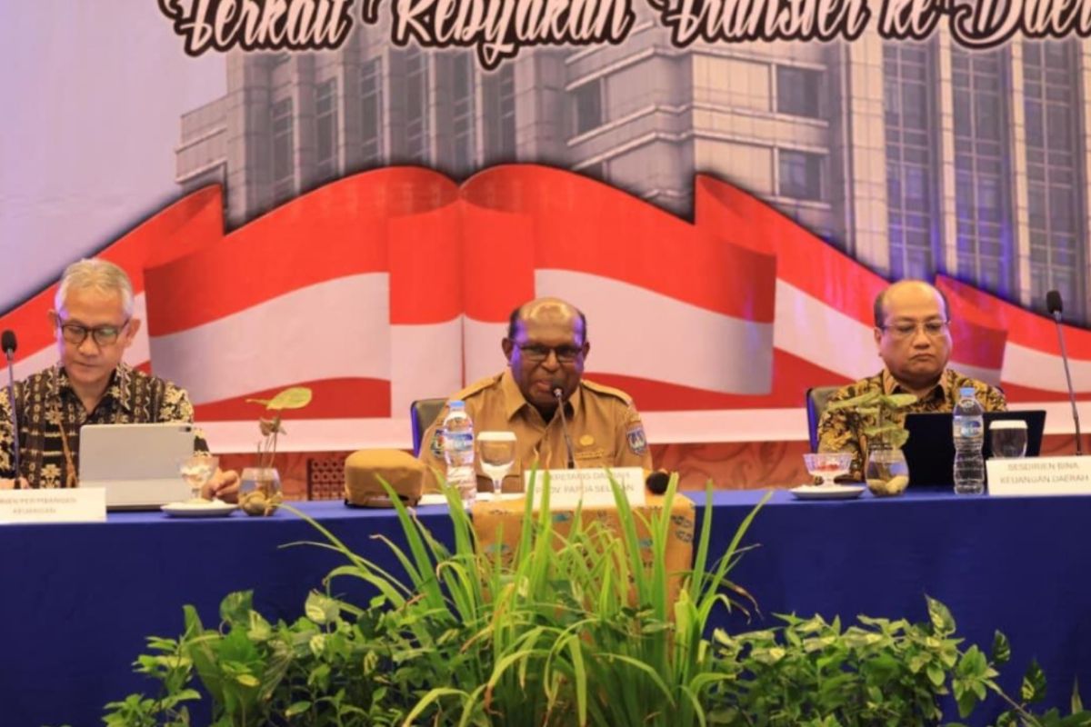 Kemenkeu RI perkuat kebijakan DAK non fisik di Papua Selatan