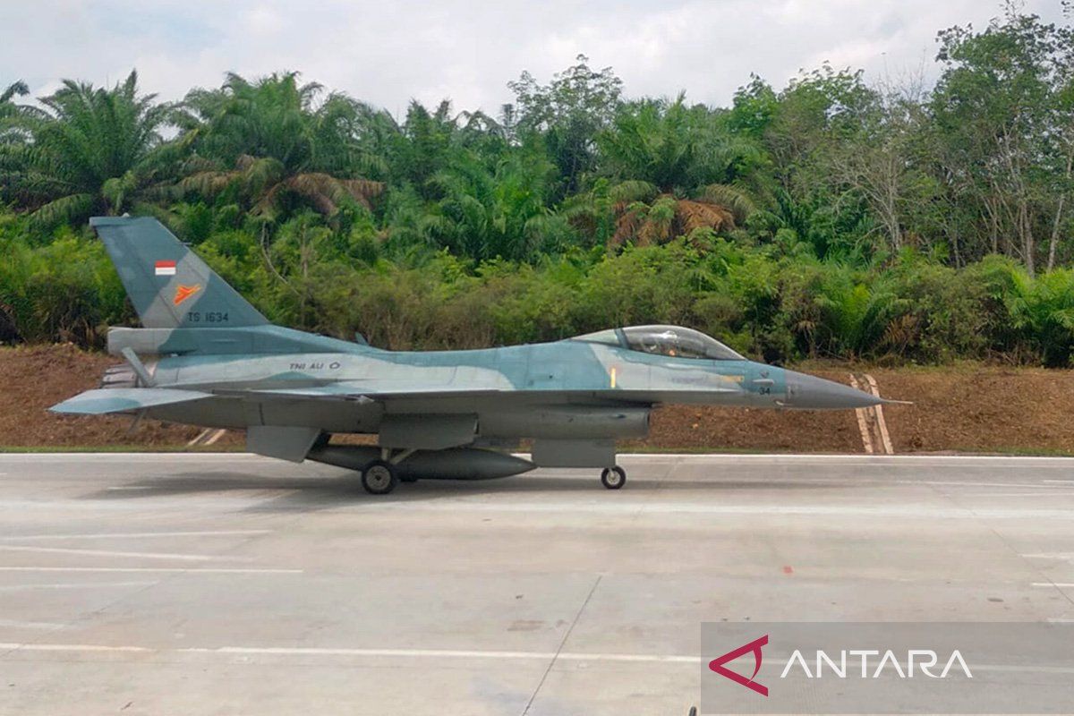 TNI AU: Pengiritan BBM tidak kendurkan aktivitas pengawasan udara