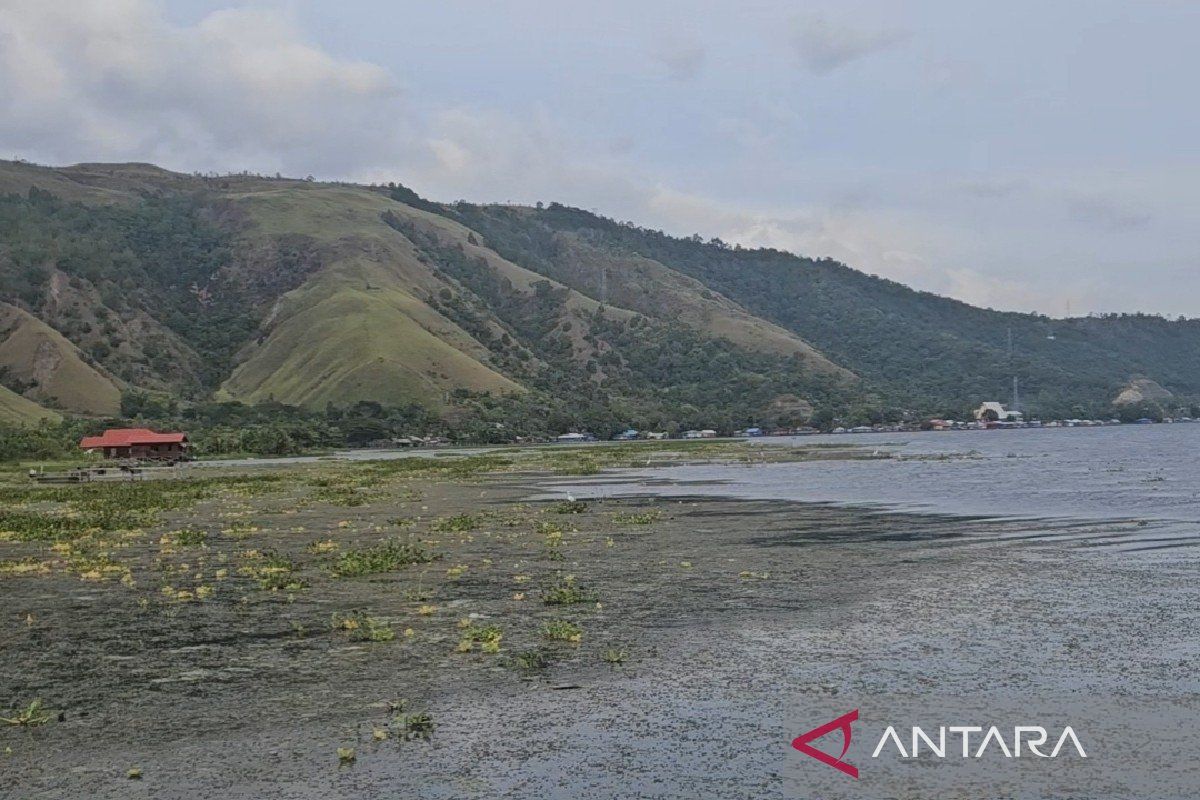DLHK Papua perkuat pengelolaan jasa lingkungan dan hutan lestari