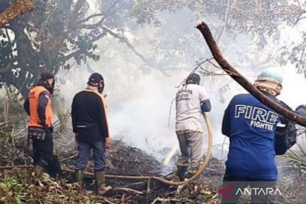 Indonesia battles massive fires in West Kalimantan
