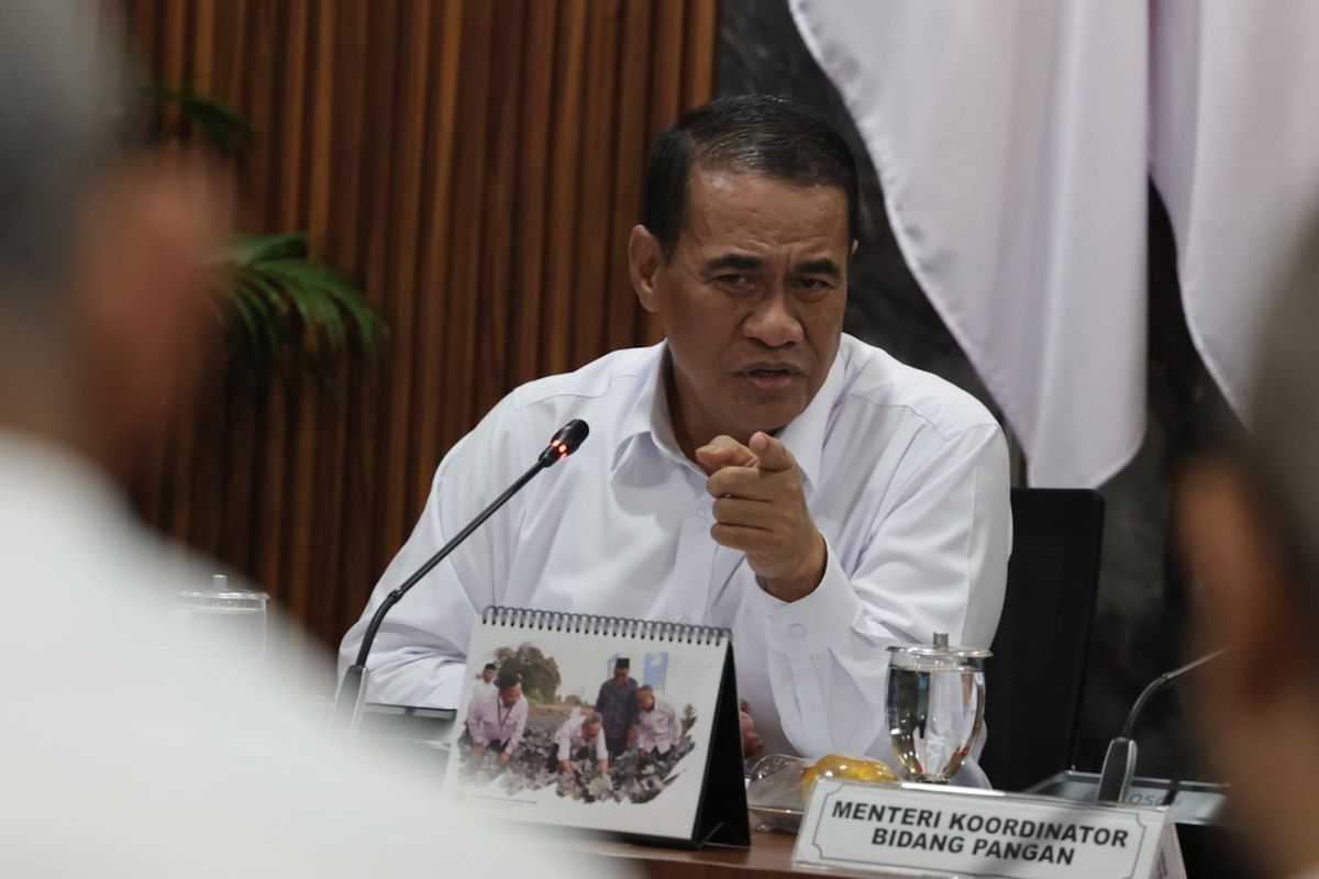 Mentan: Menjaga sawah dan petani hutan penting demi ketahanan pangan