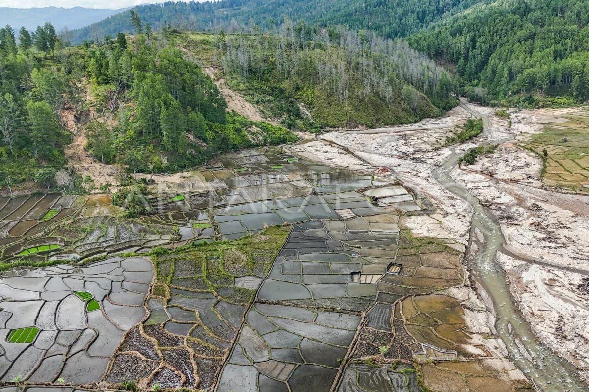 Aceh Revisi Target Beras 2026 Pascakerusakan Akibat Banjir