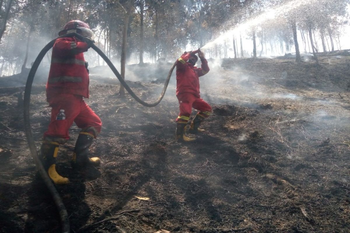Kemenhut intensif padamkan karhutla di wilayah Riau dan Kepulauan Riau