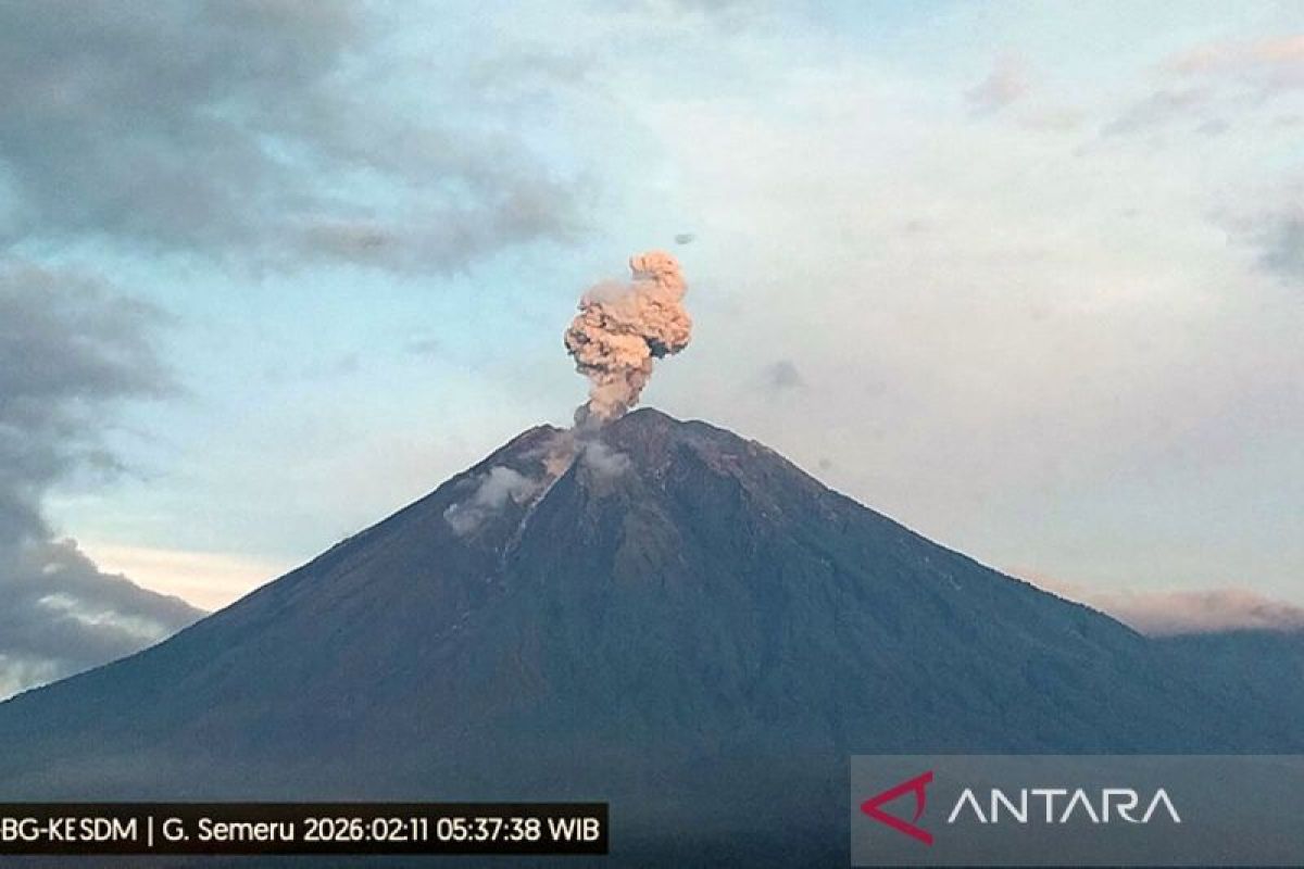 Semeru lima kali erupsi, tinggi letusan hingga 1.000 meter