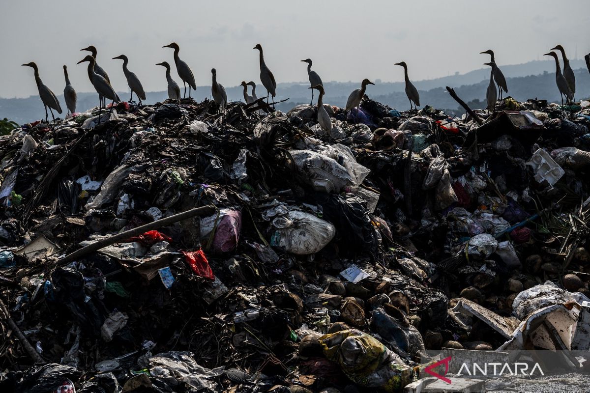 Pengelolaan sampah nasional: capaian meningkat, ini strategi kejar target 63,4 persen